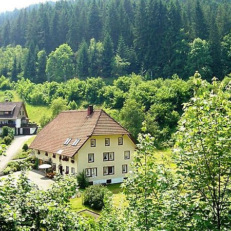 Appartamento Country Style Flat With Garden Triberg im Schwarzwald Esterno foto