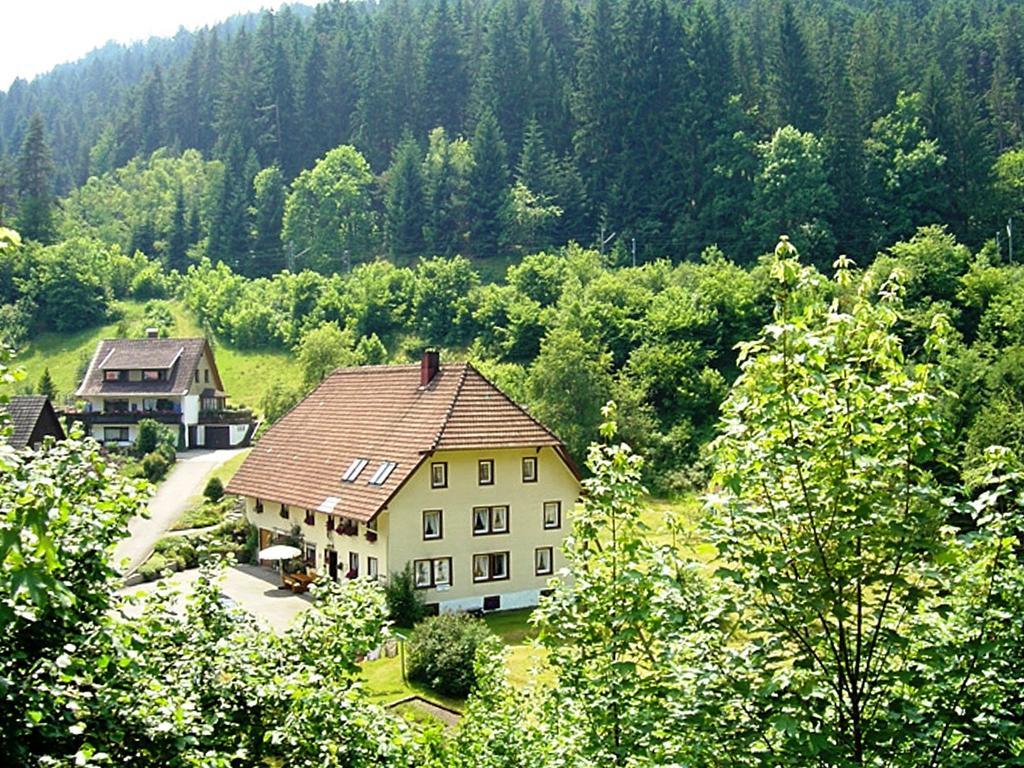 Appartamento Country Style Flat With Garden Triberg im Schwarzwald Esterno foto