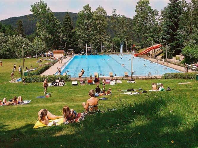 Appartamento Country Style Flat With Garden Triberg im Schwarzwald Esterno foto