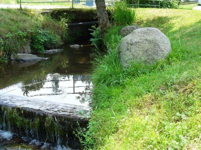 Appartamento Country Style Flat With Garden Triberg im Schwarzwald Esterno foto